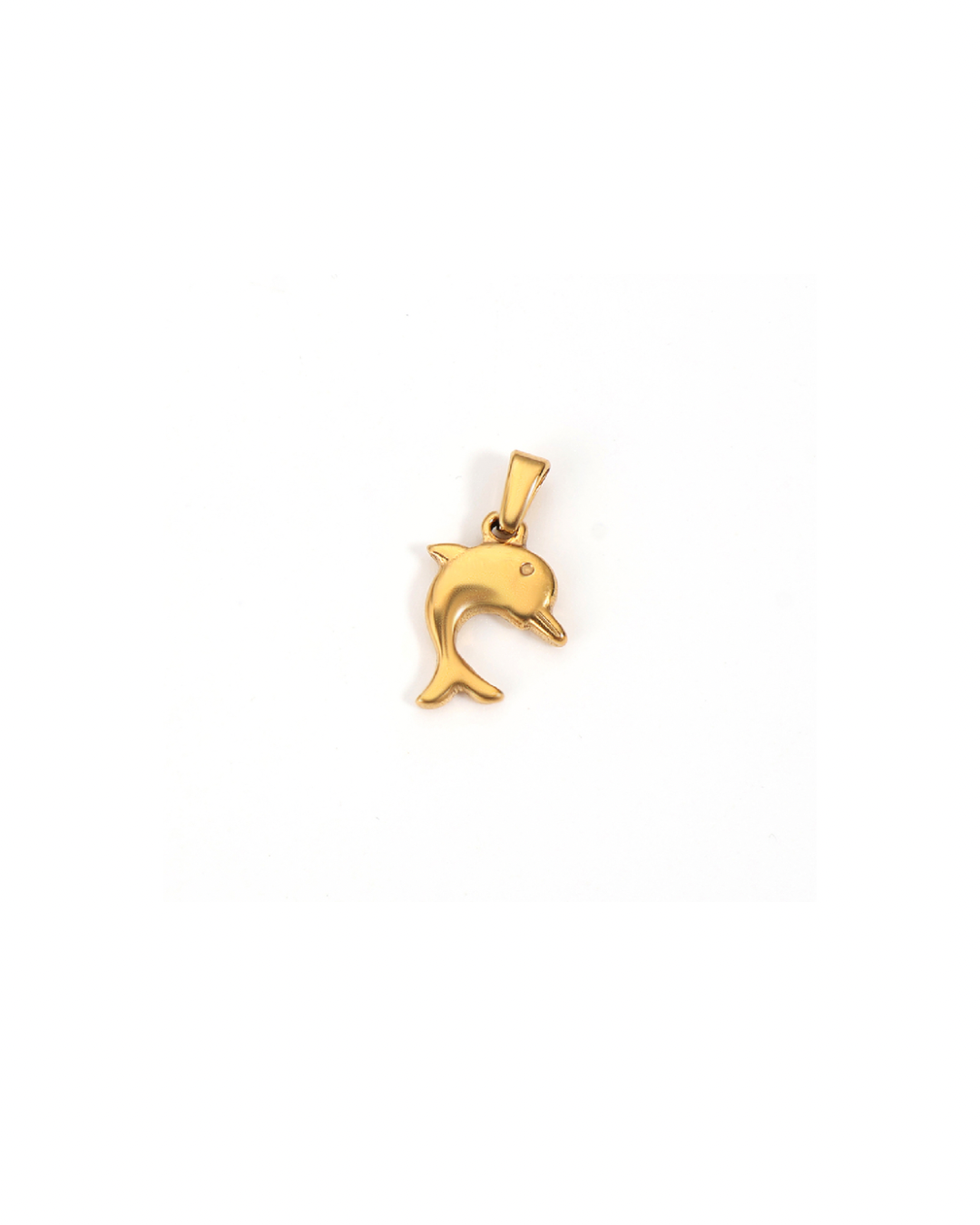 Dolphin Charm