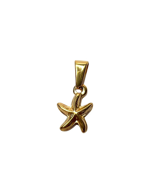 Small sea star