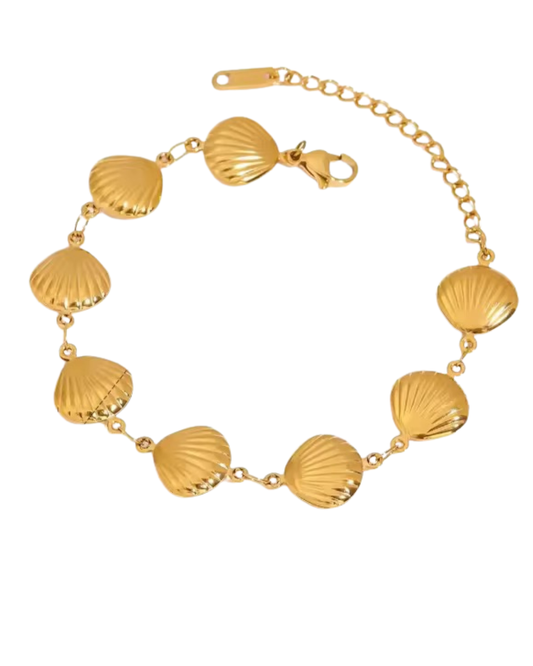 Scallop Shell Bracelet