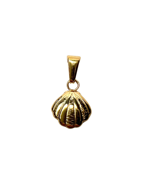 Clam shell