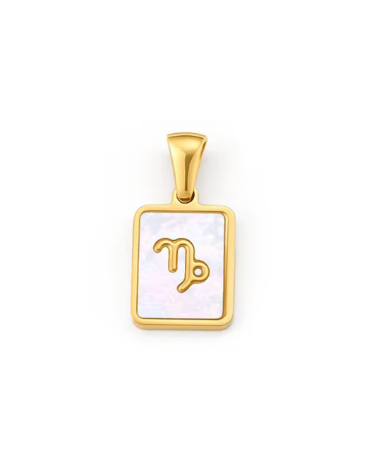 Capricorn Charm