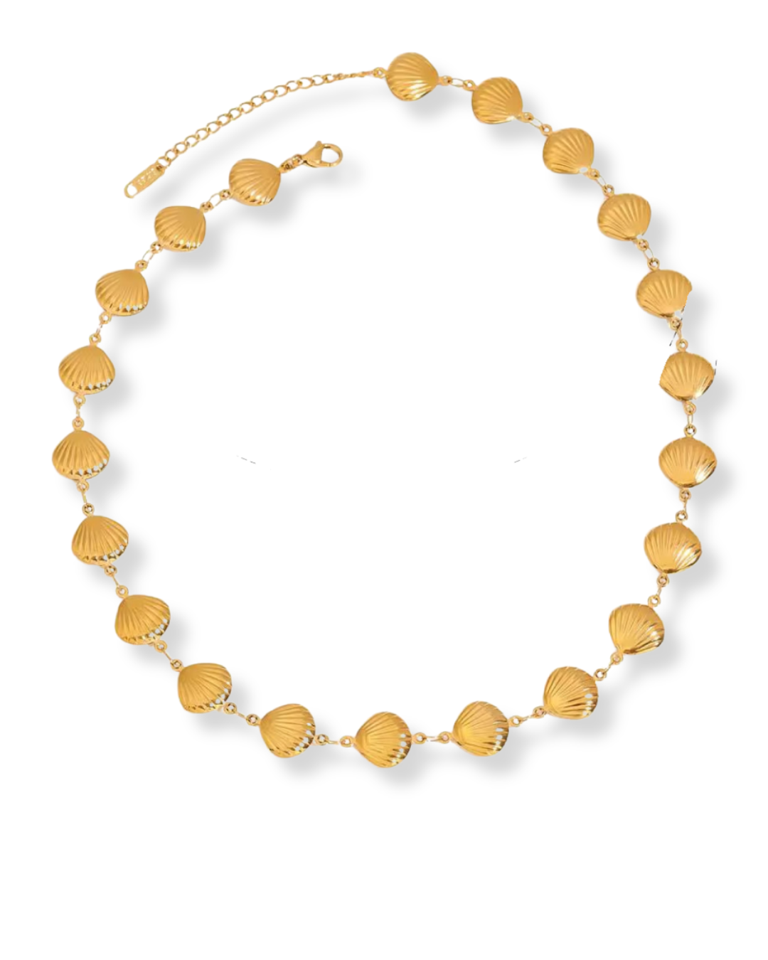 Scallop Shell Necklace