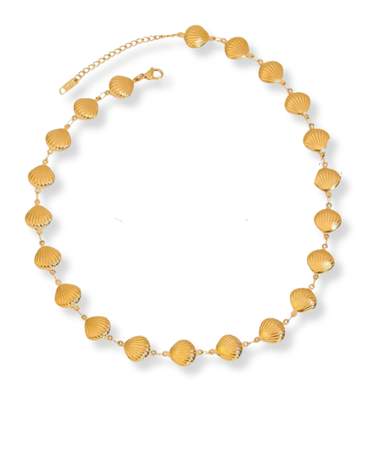Scallop Shell Necklace