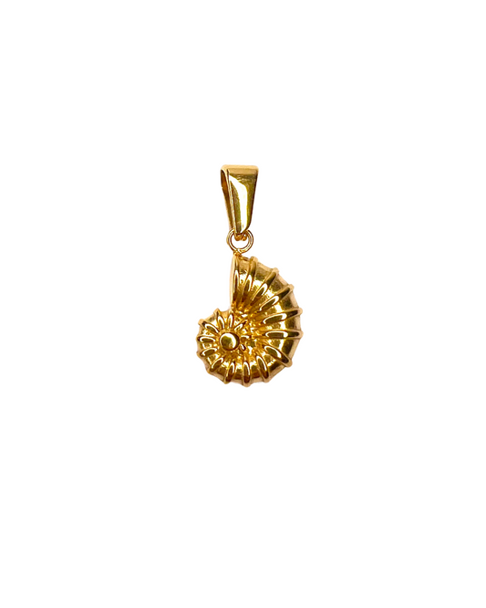 Spiral shell
