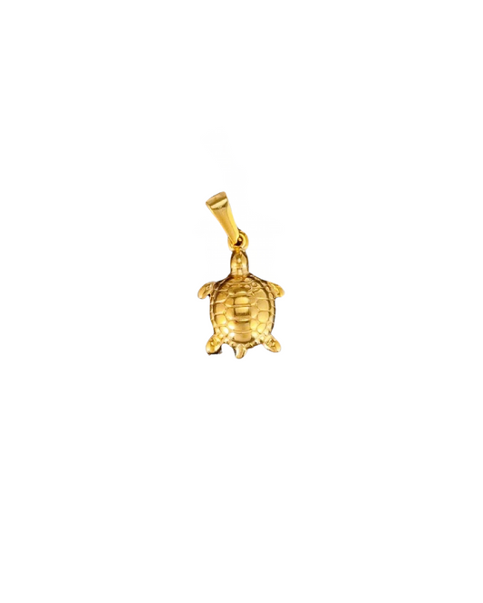 Tortoise