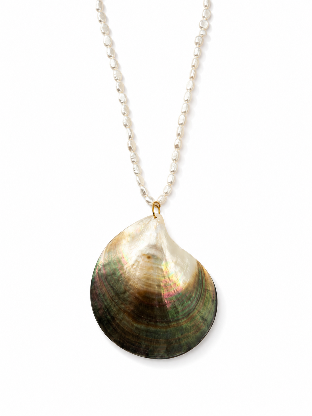 A shell pendant necklace featuring a large, iridescent abalone shell pendant hanging from a delicate silver chain, set against a plain white background.
