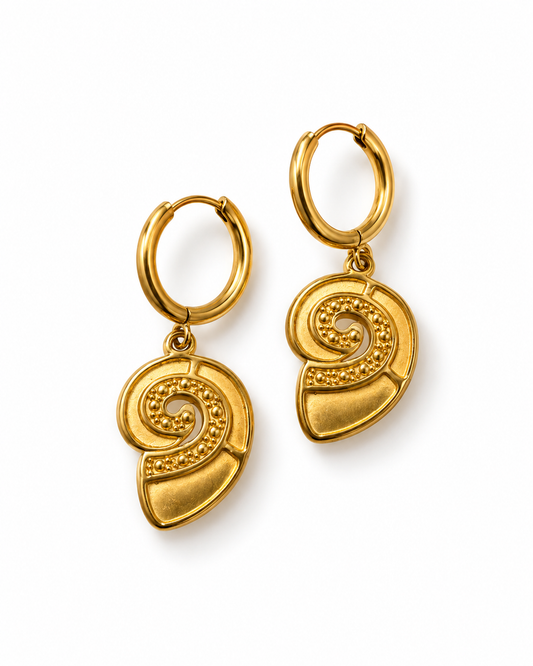 Large shell earrings