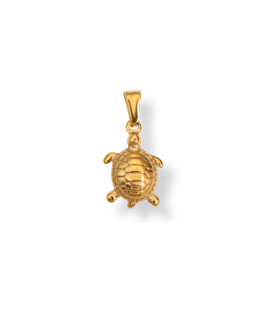 Turtle Charm